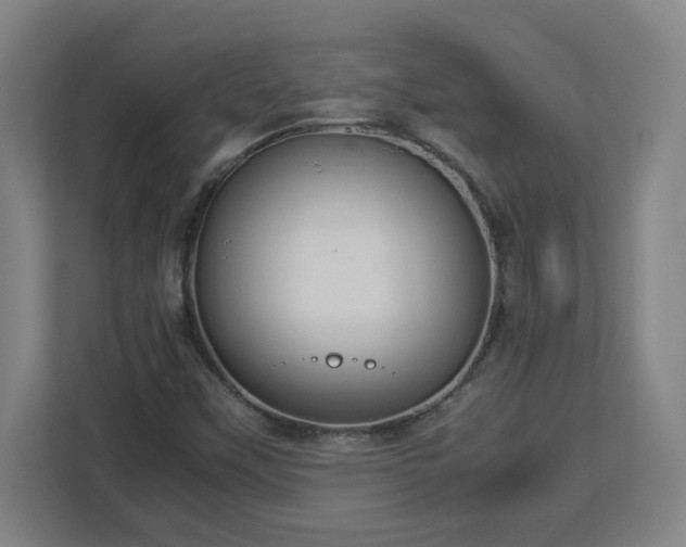 X0000113111451200909041236