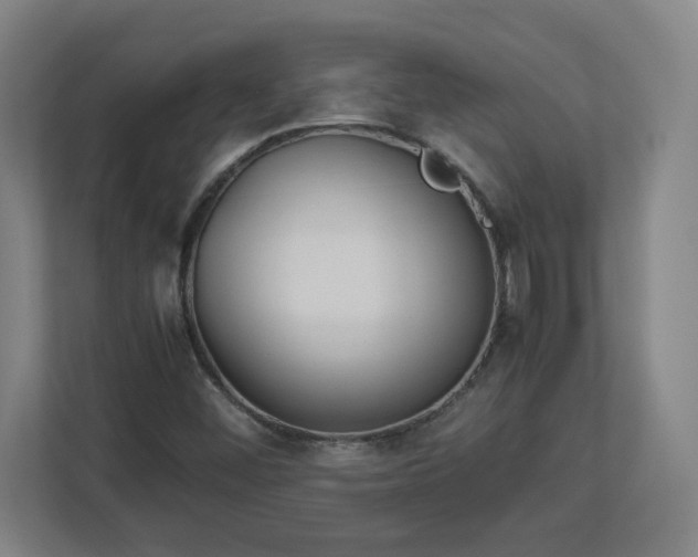 X0000113111452200909041236