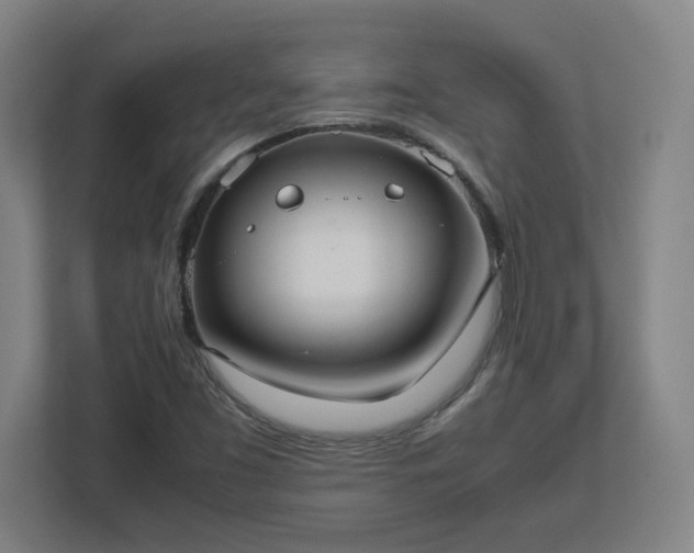 X0000113111453200909041236