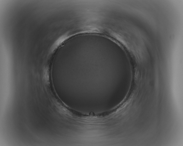 X0000113111455200909041236