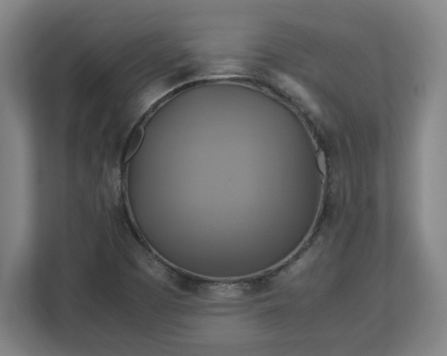 X0000113111457200909041236