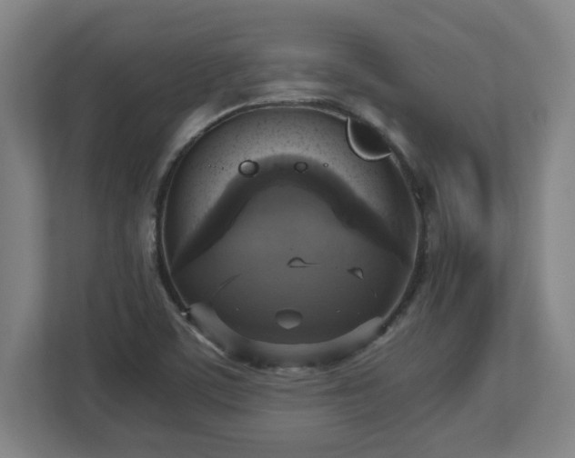 X0000113111459200909041236