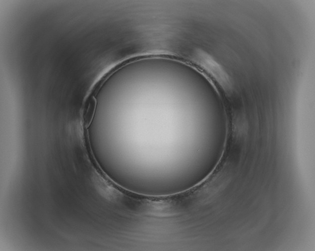 X0000113111460200909041236