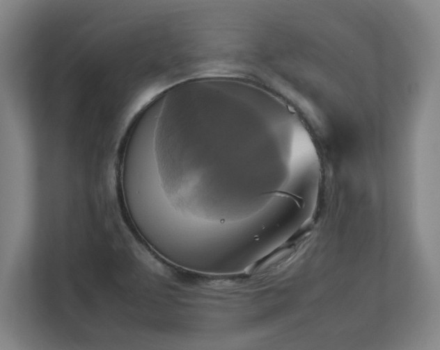 X0000113111463200909041236