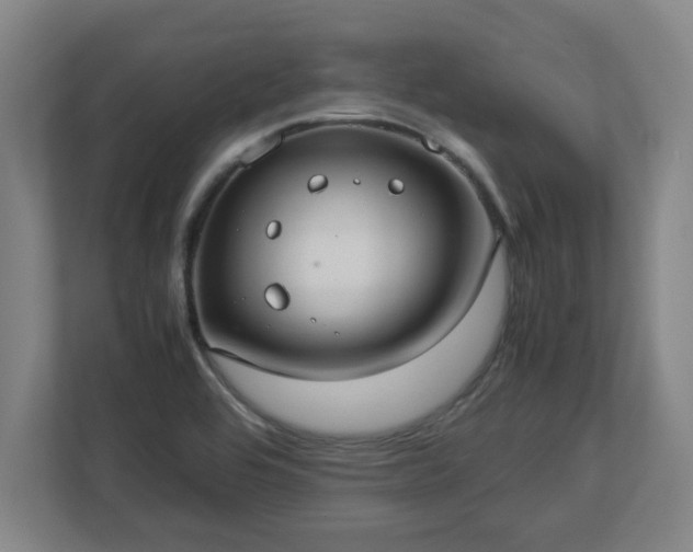 X0000113111464200909041236