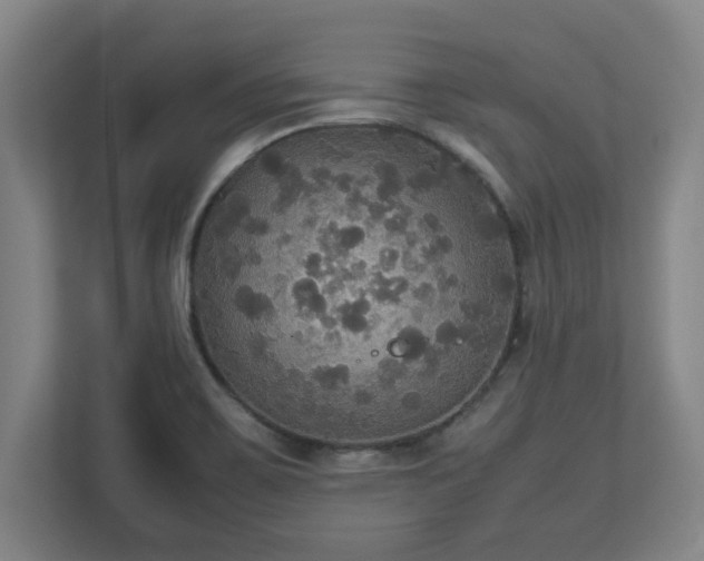 X0000113111467200909041236
