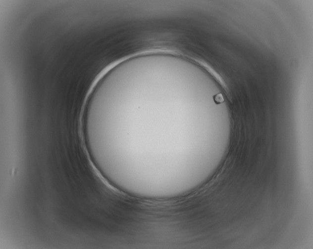 X0000113111468200909041236