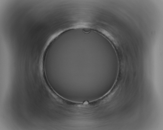 X0000113111469200909041236