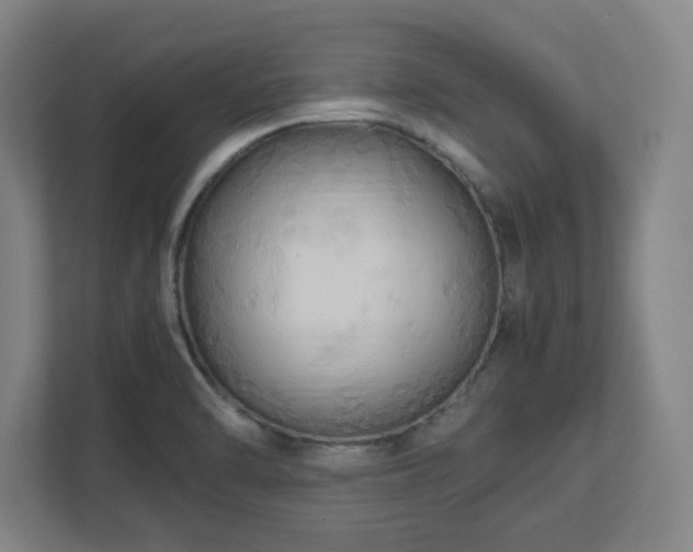 X0000113111470200909041236