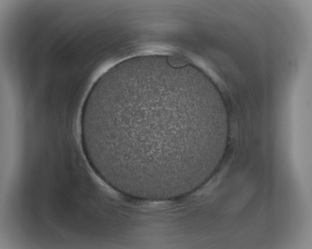 X0000113111471200909041236