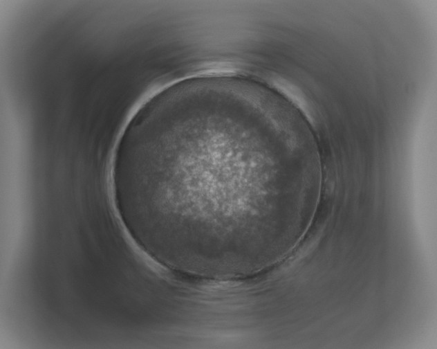X0000113111475200909041236