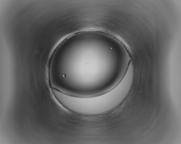 X0000113111476200909041236
