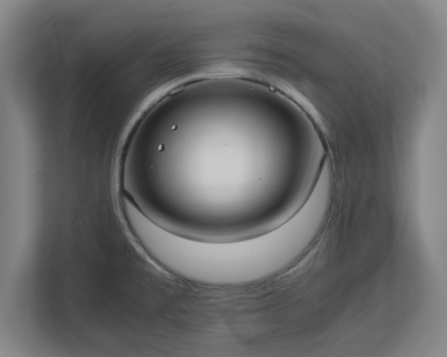 X0000113111477200909041236