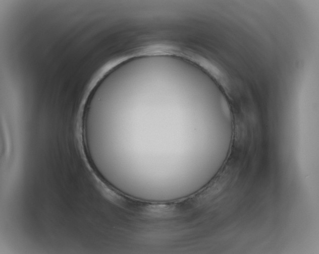 X0000113111478200909041236