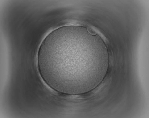 X0000113111479200909041236
