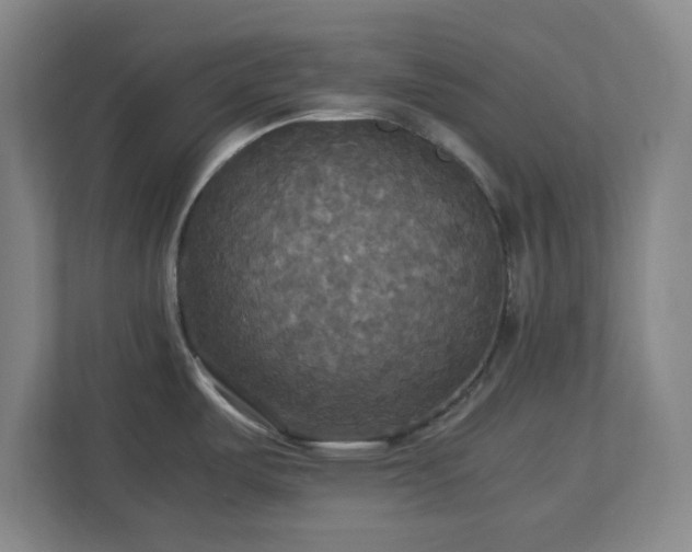 X0000113111487200909041236