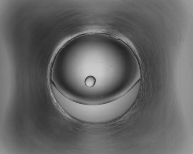 X0000113111488200909041236