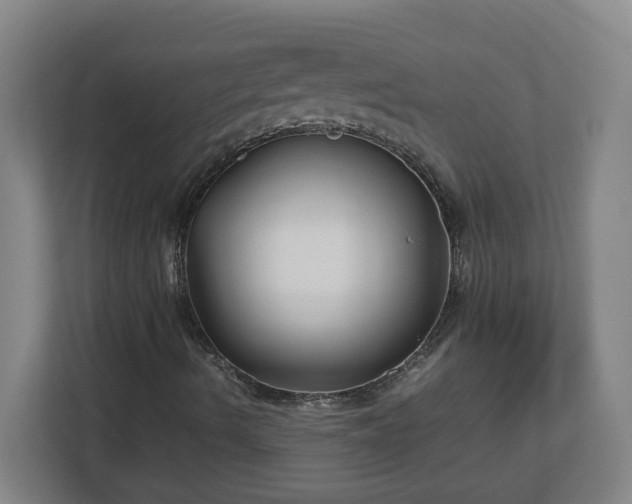 X0000113111490200909041235