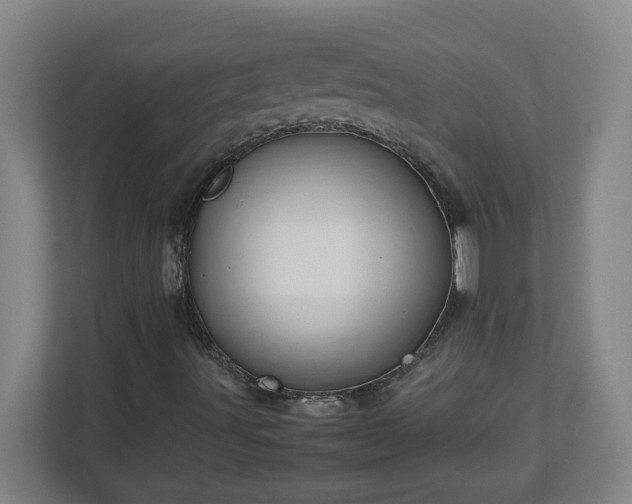 X0000113111491200909041235