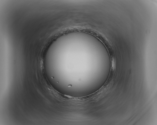 X0000113111492200909041235
