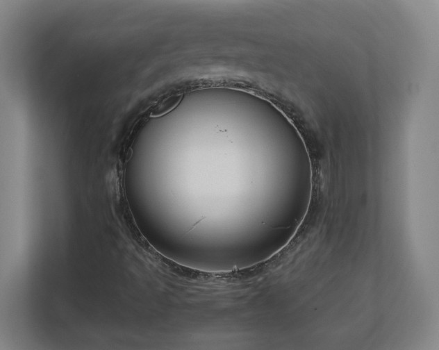 X0000113111493200909041235