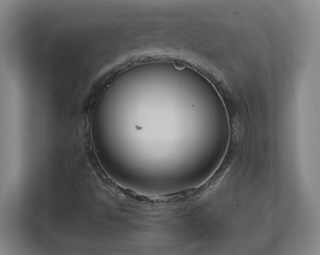 X0000113111494200909041235