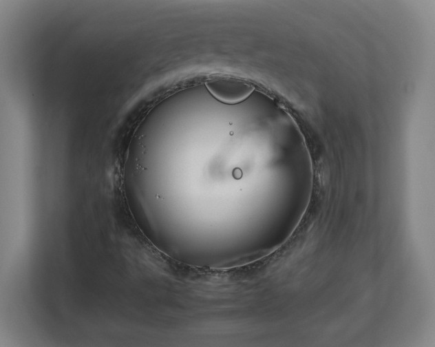 X0000113111495200909041235