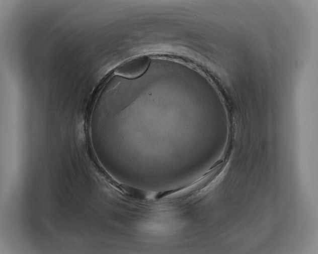 X0000113111497200909041235