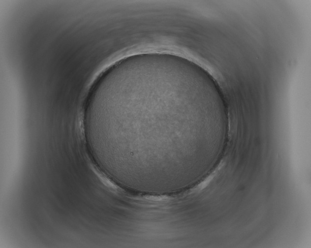 X0000113111498200909041235