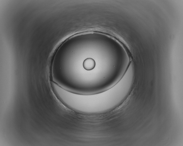 X0000113111500200909041235