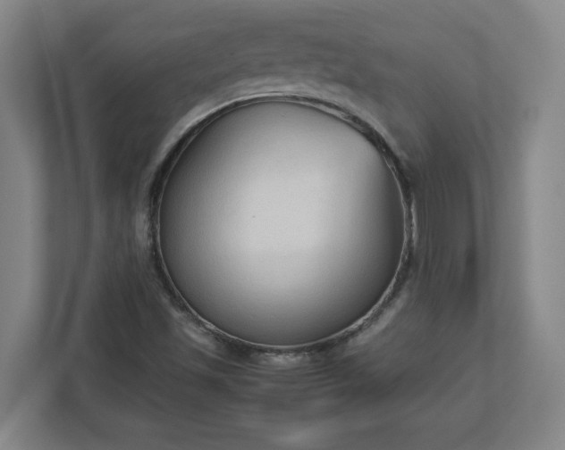 X0000113111501200909041235