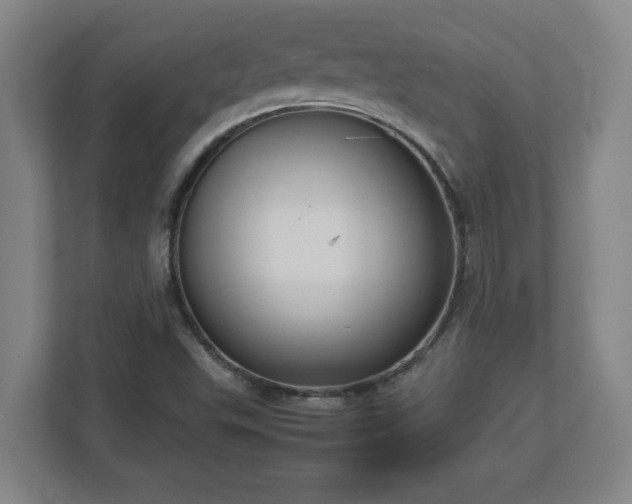 X0000113111503200909041235