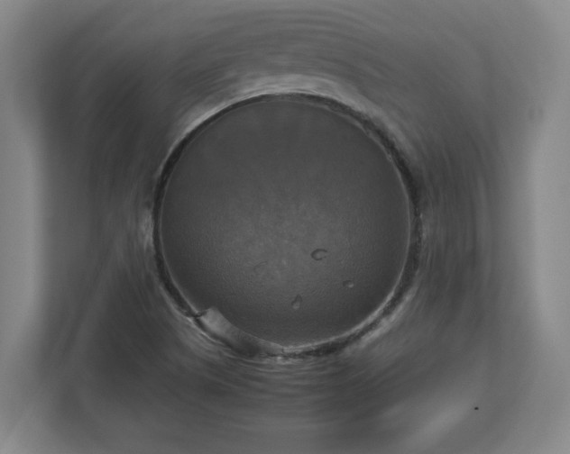 X0000113111505200909041235