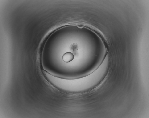 X0000113111506200909041235