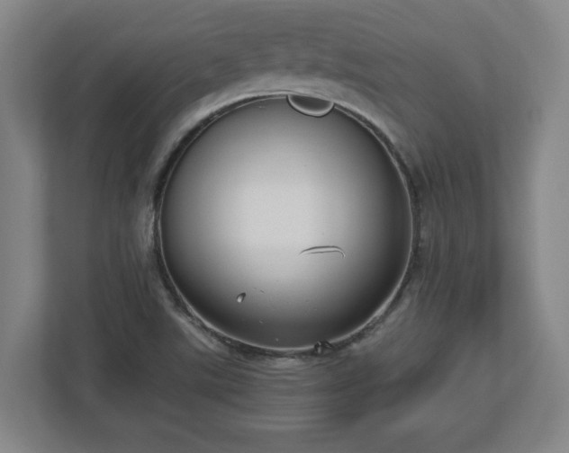 X0000113111507200909041235