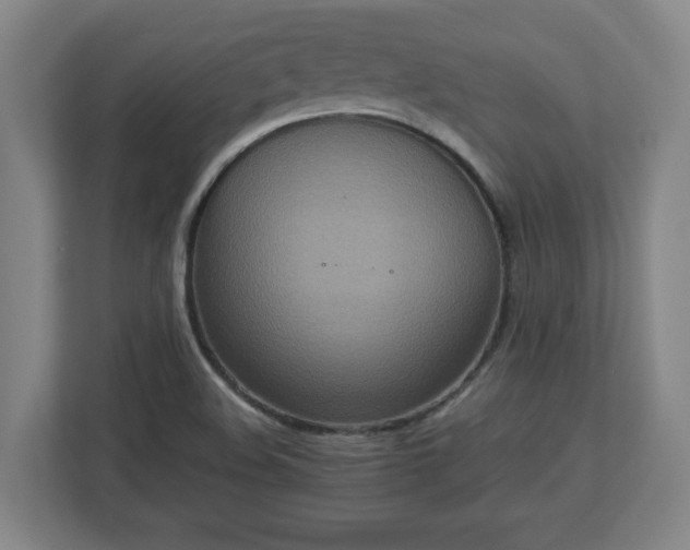 X0000113111508200909041235