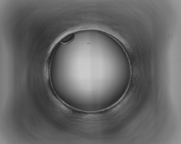 X0000113111510200909041236