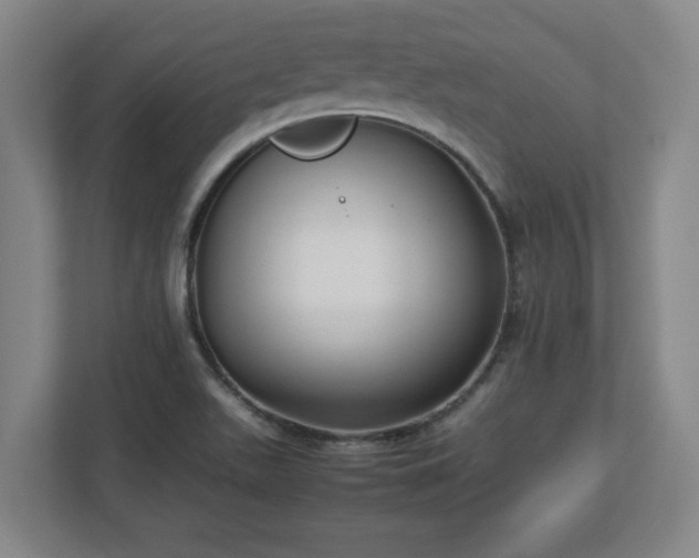 X0000113111511200909041236