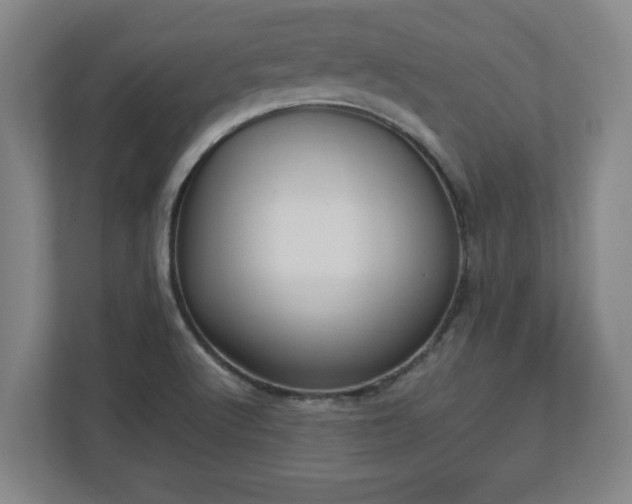 X0000113111512200909041236