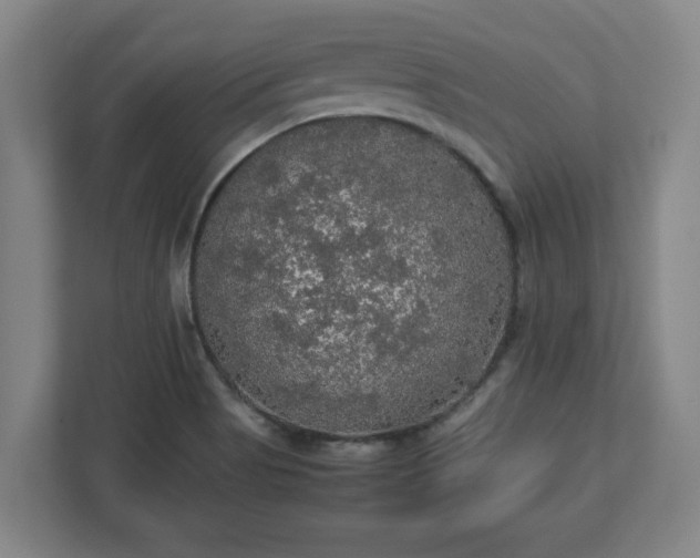 X0000113111513200909041236