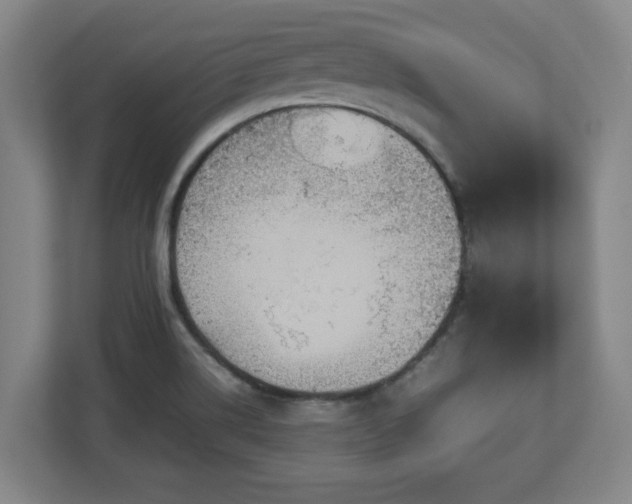 X0000113111514200909041236