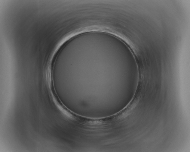 X0000113111515200909041236