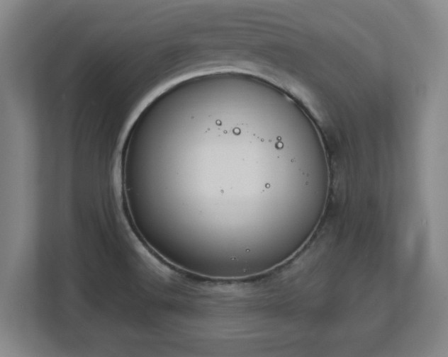 X0000113111516200909041236