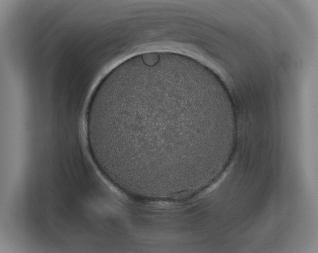 X0000113111517200909041236
