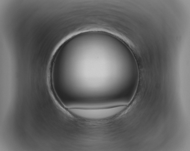 X0000113111518200909041236