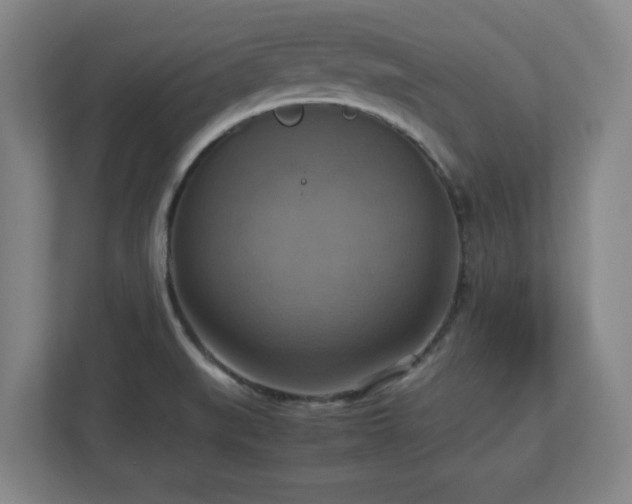 X0000113111519200909041236