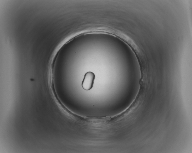 X0000113111520200909041236