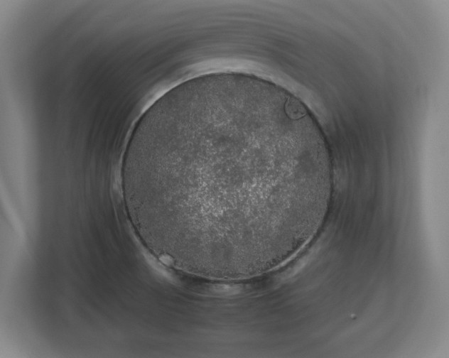 X0000113111521200909041236