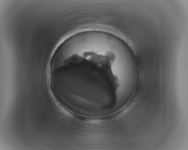 X0000113111522200909041236