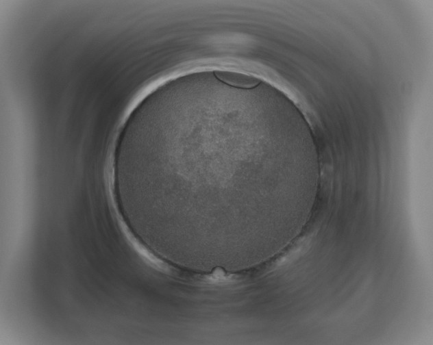 X0000113111523200909041236